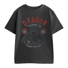 (7-8 Years, Grey) How To Train Your Dragon Boys Training 101 Short-Sleeved T-Shirt