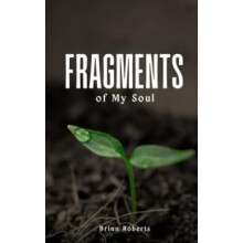 Fragments of My Soul by Brian Roberts Paperback Book