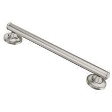 Moen Home Care 16 Inch RVS Handgreep Badkamer Veiligheid voor Bad en Douche