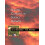 Fractal Concepts in Surface Growth by AlbertLaszlo Barabasi Paperback 1