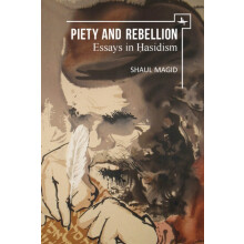 Piety and Rebellion Essays in Hasidism by Shaul Magid Paperback Book
