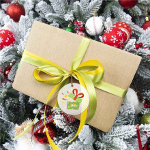 50 Pcs 3 Inch Acrylic Blanks with Hole Transparent Circle Ornament Clear Round Acrylic Christmas Ornament Blanks