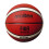 Molten (6, Tan/White) Molten 2010 Basketball 1