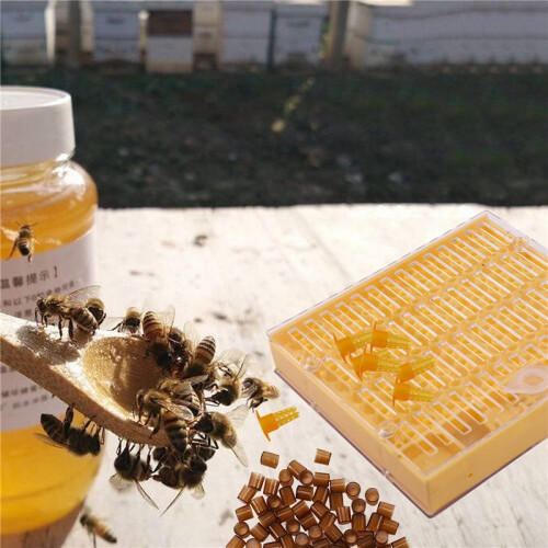2X Beekeeping Cup Kit 120 Cell Cups Bee Tool Set Queen Rearing System Bee Nicot Complete Catcher Cage Apiculture Helper 2