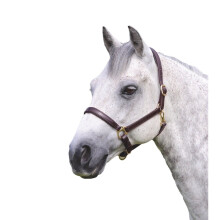 (X Full, Havana) Blenheim Ragley Leather Horse Headcollar