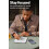 Amazon Amazon Kindle Scribe (3rd Gen, 2025) Premium Pen 64GB graphite 8