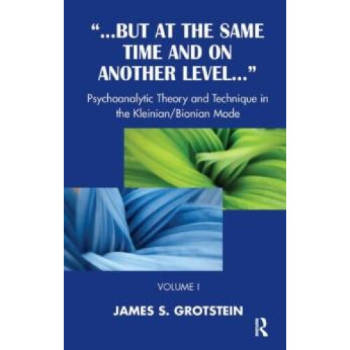 But at the Same Time and on Another Level by James S. Grotstein Hardco