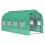 Polytunnel Greenhouse 4x2m with Door & Windows 1