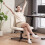 Armless Linen Office Chair, Cream, Height Adjustable 7