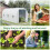 4.5x2x2m Polytunnel Greenhouse with Mesh Windows 6