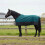 VidaXL vidaXL Horse Blanket Dark Green and Black 85 cm Polyester 1