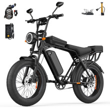 X5 E-Bike mit 48V 15Ah Akku,250W Motor , 204 Zoll Fat Reifen , Dual-Federung , Bis zu 80 km Reichweite