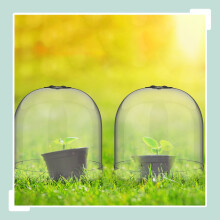 Garten-Pflanzglocken, 10er-Set - Schädlings- und Wetterschutz
