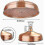 20cm (8 Inch) High Pressure Fixed Copper Shower Head, Adjustable Angle, Gold 4