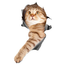 (12Pcs) 3D Cat Car Stickers Decal / Sticker for Window, Truck, Car, Laptop or