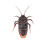 Realistic RC Cockroach Toy with Infrared Remote Control Halloween Prank Trick 1 Pack 2