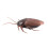 Realistic RC Cockroach Toy with Infrared Remote Control Halloween Prank Trick 1 Pack 3