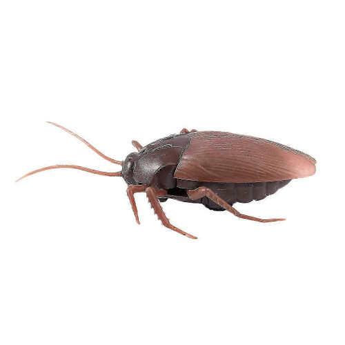 Realistic RC Cockroach Toy with Infrared Remote Control Halloween Prank Trick 1 Pack 2