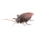 Realistic RC Cockroach Toy with Infrared Remote Control Halloween Prank Trick 1 Pack 4