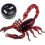 Realistic RC Scorpion Remote Control Car Scary Prank Toy 1