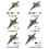 Black Gold Stunt RC Flying Sword Toy Fighter 2