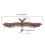Dancing Wings Hobby E1901 EPP RC Eagle 1430mm Elektro-Bausatz (unmontiert) 2