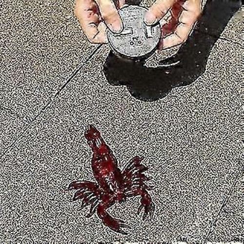 Realistic RC Scorpion Remote Control Car Scary Prank Toy 1