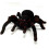 25-26 RC Tarantula Spider Spray Mist LED Light Music Remote Control Unique Gift All Ages 5