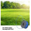 3-Pack Replacement Spools for Grass Trimmer, With 1 Cap, Compatible with GL315 GL350 GL650, Black, Durable Nylon Line 2