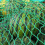 2X3Meter Heavy Duty Stretchable Cargo Trailer Net Rear Cargo Trunk Storage Organizer Luggage Net Holder Auto Accessory 7