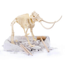 Dinosaurier-Skelett-Bausatz für Kinder, wissenschaftliches Lernspielzeug, Modell K7671