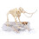 Kids Dinosaur Skeleton Assembly Science Educational Toy Model K7671 1