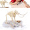Kids Dinosaur Skeleton Assembly Science Educational Toy Model K7671 4