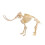 Kids Dinosaur Skeleton Assembly Science Educational Toy Model K7671 3