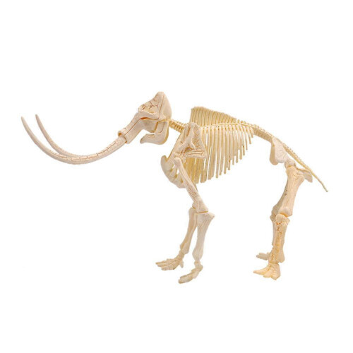Kids Dinosaur Skeleton Assembly Science Educational Toy Model K7671 2