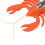 Solar Powered Lobster Auto Crawling Toy High Sim Edu Science Interactive Fun for Kids 3
