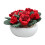 Rosier raisin permanent, modèle de maison miniature, jardinage miniature multicolore 1