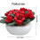 Rosier raisin permanent, modèle de maison miniature, jardinage miniature multicolore 3