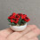 Rosier raisin permanent, modèle de maison miniature, jardinage miniature multicolore 5