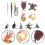 Marine Animal Model Natural Science Cognitive Toy for Kids 3 Sets 3