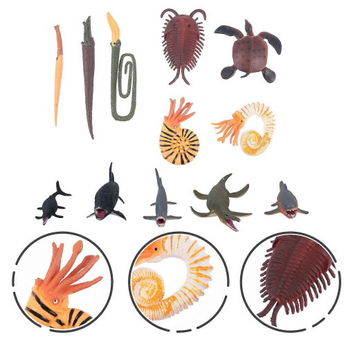 Marine Animal Model Natural Science Cognitive Toy for Kids 3 Sets 2