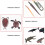 Marine Animal Model Natural Science Cognitive Toy for Kids 3 Sets 5