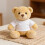 Set di 5 magliette classiche con orsacchiotti per peluche. 5