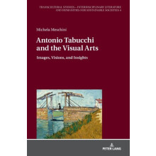 Antonio Tabucchi and the Visual Arts Images Visions and Insights Hardc