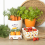 Carrot Patch Ceramic Berry Basket 5