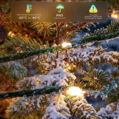 Govee H80C4C41 2S 20 m slimme LED kerstlichtslinger 2
