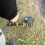 Metal Detector Gold Finder Treasure Hunter Sensitive Underground Adjustable UK 6