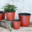 100 Pack 10cm Plastic Plant Pots, Reusable Seed Seedling Pots Plants 4