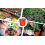 100 Pack 10cm Plastic Plant Pots, Reusable Seed Seedling Pots Plants 3
