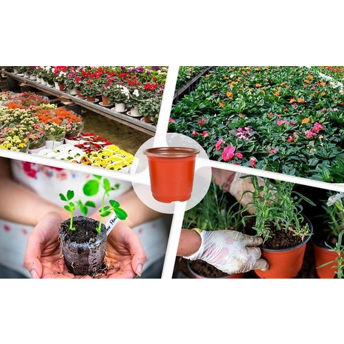 100 Pack 10cm Plastic Plant Pots, Reusable Seed Seedling Pots Plants 2